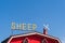 House sheep farm.