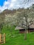 House about sheep and hay, behind ruin of Tochnik Castle. Old stronghold, Czech