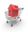 House Shopping Cart
