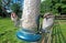 House Sparrow feeding at a seed feeder at bird table