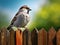 House Sparrow (Passer domesticus)  Made With Generative AI illustration