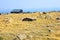 House and stones on the mountain Brocken