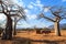 House surrounded by baobab trees in Africa