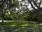 House surrounded by enormous trees