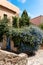 House surrounded by greenery in Collioure city, France