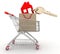 House symbol with key in a paper shopping bag and shopping cart