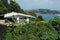 House with terrace built in Caribbean style surrounded by palm trees situated in the port of Castries in Saint Lucia