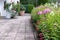 House territory decorated with phlox flowers, roses and hedges