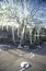 House toilet papered by teenagers in Oak View, California