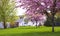 House, tree, meadow at spring time in America