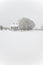 House and tree in snowstorm