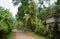 House in the tropics,Sri Lanka