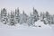 House under snow in winter wood chalet among spruce trees in the