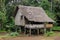 House in village Papua New Guinea