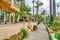 House and walkway in Long Beach California lined with palm trees and lush plants