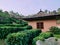 The house was built in the midst of a tea plantation in the mountains.