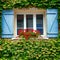 House Window with Geranium Planter and Shutters