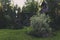 house in the woods at night. Summer misty garden view with wooden archway