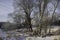 House in woods after snow in sunlight against cloudy sky