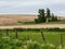 House and yard create an oasis in the wheat fields