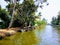 Houseboat Alleppey Kerala India ancient wooden boats palm trees coconut trees kerala