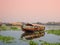 A houseboat sailing in kerala backwaters during sunset.