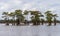Houseboat by stumps of bald cypress trees in Atchafalaya basin