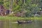 Houseboats on the backwaters of Kerala in Alappuzha Alleppey in India. A traditional tourist attraction is the house-boat on the