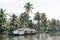 Houseboats and Green Trees