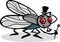 Housefly insect cartoon illustration