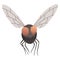 Housefly insect icon. Wildlife symbol in cartoon style. Scary insect. Graphic design element. Entomology closeup color