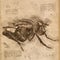 Housefly in Vintage Steampunk Da Vinci Drawing Style