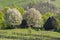 Household from the apuseni mountains, Romania