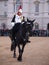 Household Cavalry at Horse Guards Parade