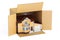 Household moving services concept. Parcel with home, 3D