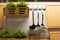 Household utensils hanging in the kitchen with greens.