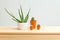 Houseplant. Aloe vera and cacti are on the wooden shelf of the house. Home gardening