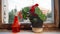 Houseplant with big red flowers and red sprinkler on obsolete windowsill in front of window