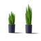 Houseplant black pot with green leaves longer and shorter size, isolated 3d illustration