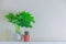 Houseplant and cactus in cute pots on wooden shelf on white wall with copy space. Minimalist style decoration design.