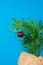 Houseplant dressed up for christmas and new year in paper wrapping on blue background with copy space