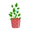 Houseplant Epipremnum Aureum in a red polka dot bucket, homemade flowers in cartoon style, vector object, hand draw