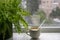 Houseplant and homemade soup in mug bowl on windowsill in rainy day