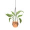 Houseplant on macrame hangers icon