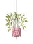 Houseplant on macrame hangers icon