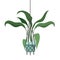 Houseplant on macrame hangers icon