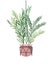 Houseplant on macrame hangers icon