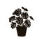 Houseplant monstera deliciosa in a pot silhouette