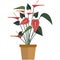 Houseplant with red flower and green leaves flat vector