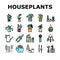 Houseplant Store Sale Collection Icons Set Vector